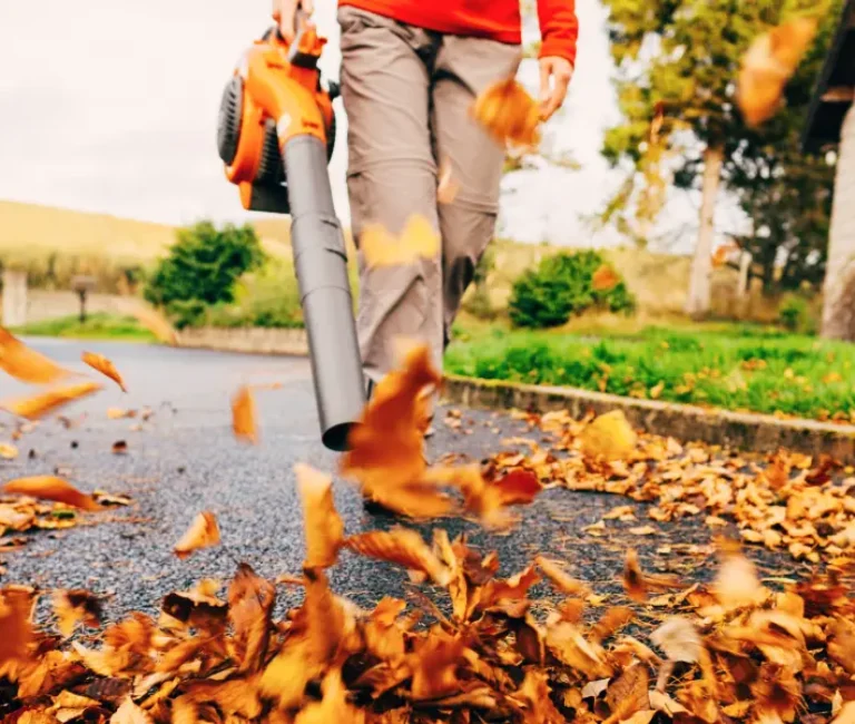man using a leaf blower to clear leaves from a road