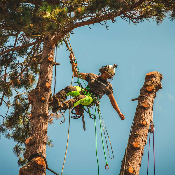Arbortec AT4060 Breatheflex Pro Chainsaw Trousers Design A Class 1 pictured in green being worn by a man working in a tree