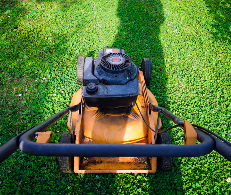 Petrol lawn mower maintenance