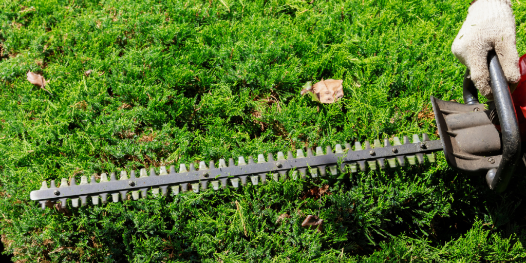 How to Clean Your Hedge Trimmer After Use | MowShop