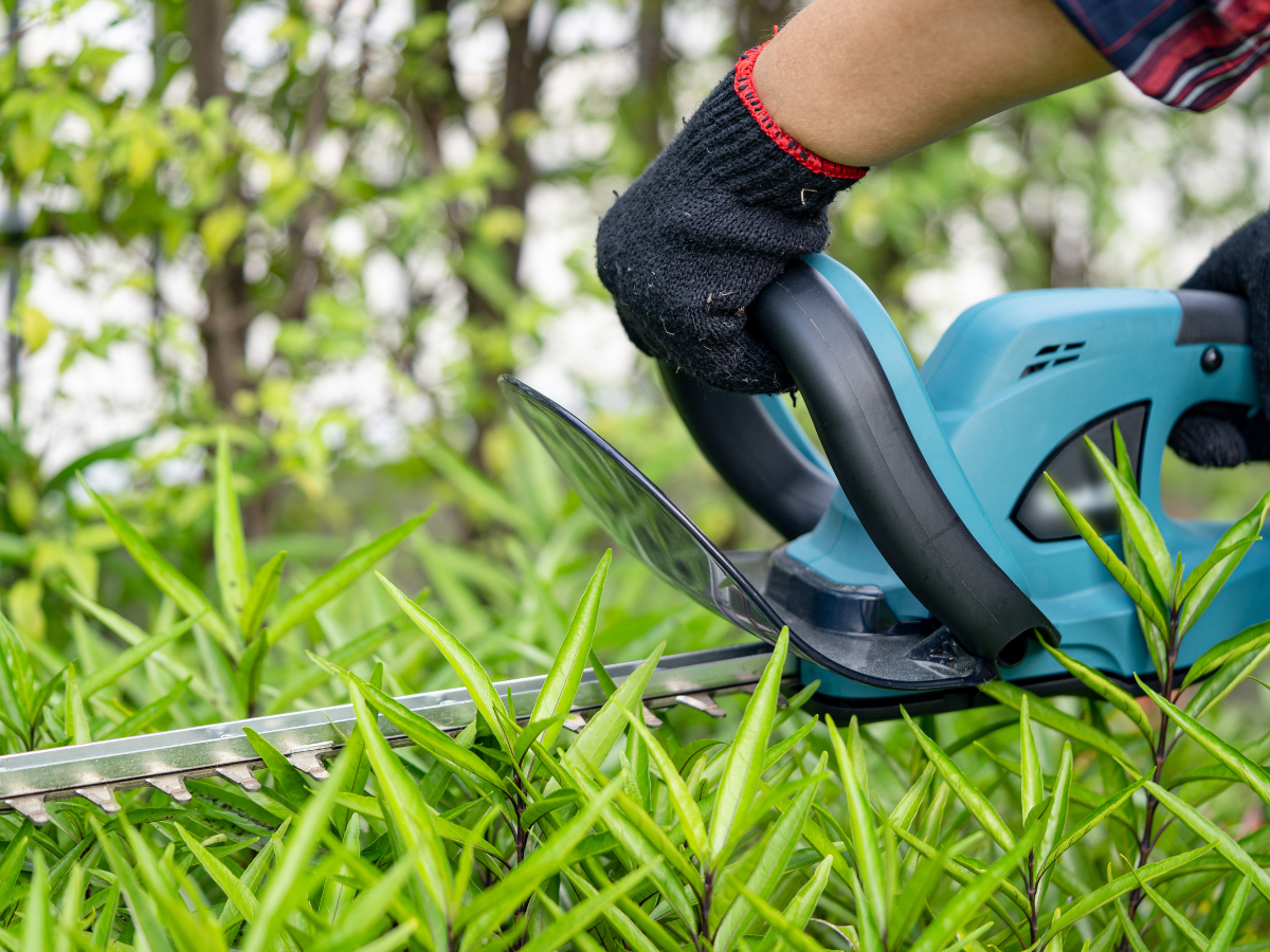 How to Clean Your Hedge Trimmer After Use | MowShop