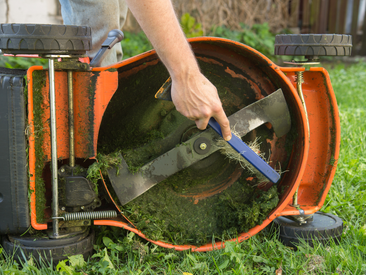 Can I Use Chainsaw Oil in Lawn Mower 