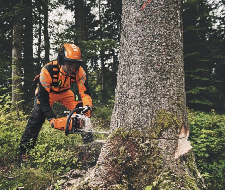 man using a stihl chainsaw to cut down a tree, while wearing full PPE