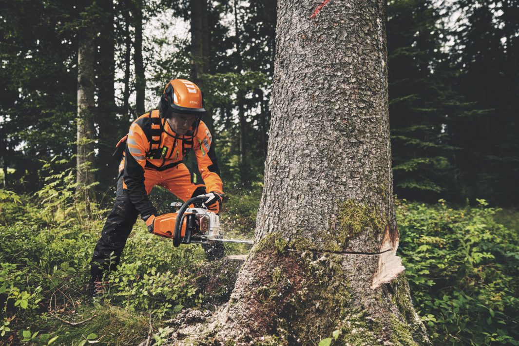 man using a stihl chainsaw to cut down a tree, while wearing full PPE