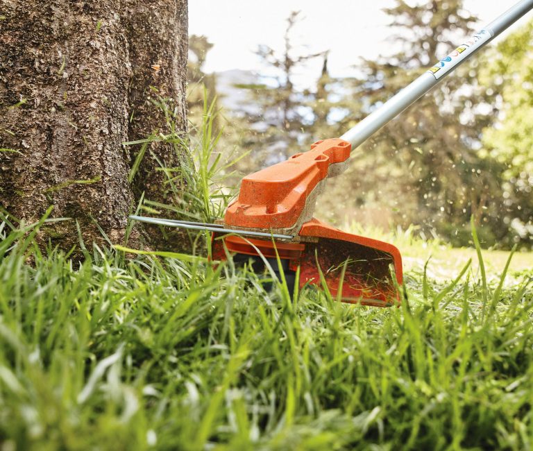 grass strimmer cutting around the base of a tree