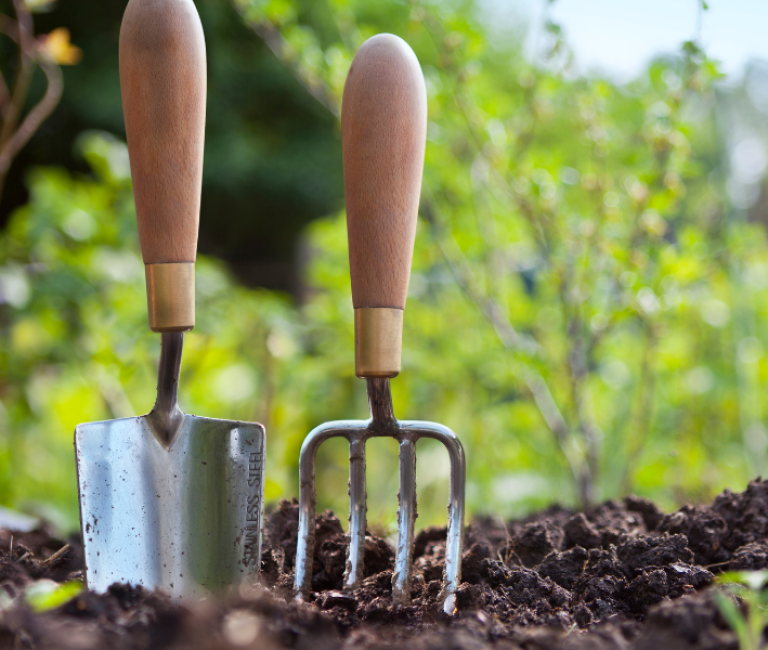 gardening tools pushed into soil in front of green shrubbery