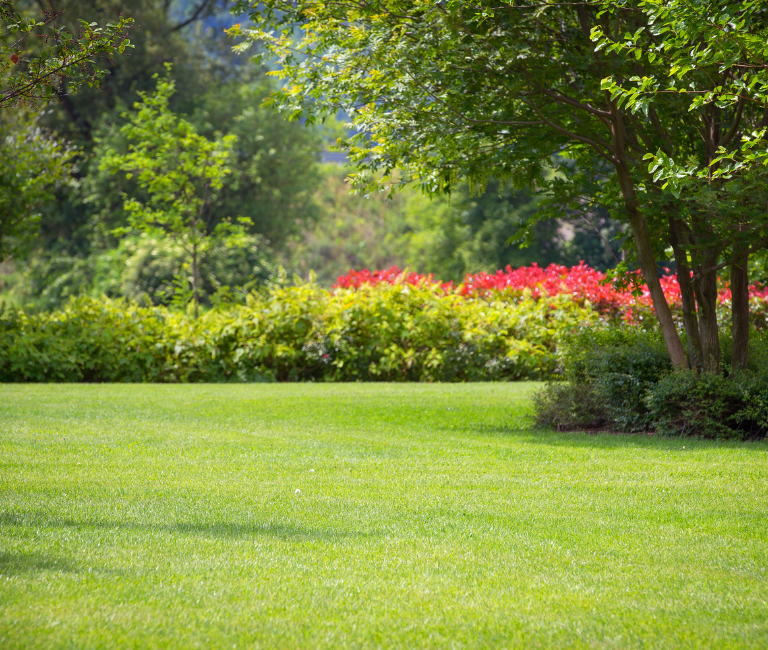 picture of a perfectly looked after lawn with vibrant green grass that is mowed evenly
