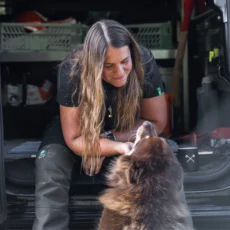 AT4060_F_BreatheflexProwomen_sChainsawTrousersClass1_DesignA-Black_3_dd79ec67-c70e-463e-90b9-e9770d921c20