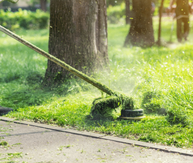 a lawn strimmer being used to clean the edge of a lawn