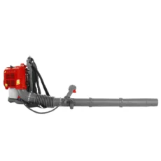 BP43C-1