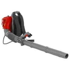 BP43C-2