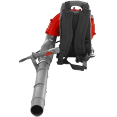 BP43C-3