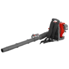 BP43C-4