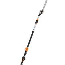 HLA 150